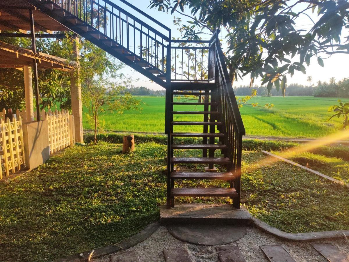 Village Mango Resort Yala Tissamaharama Eksteriør bilde