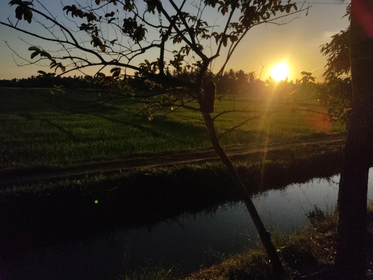 Village Mango Resort Yala Tissamaharama Eksteriør bilde