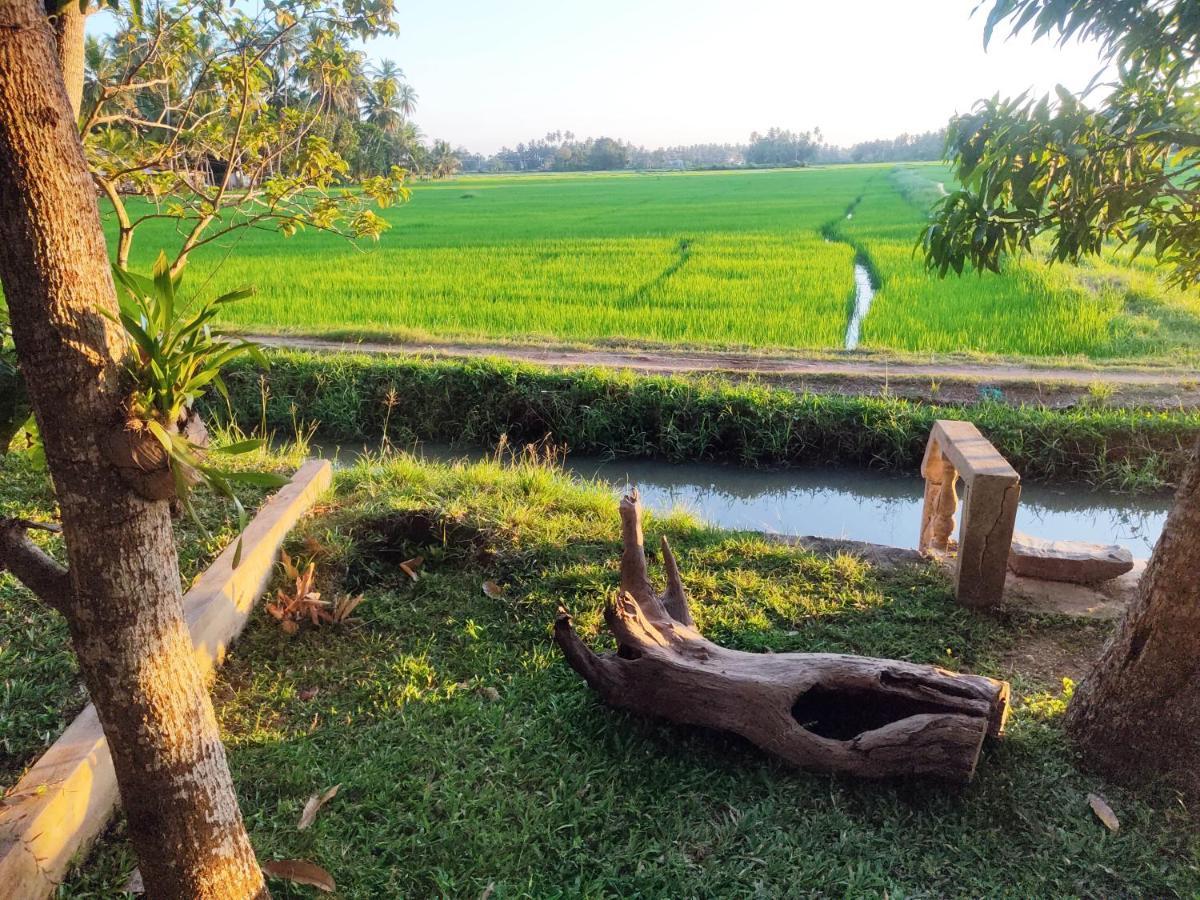 Village Mango Resort Yala Tissamaharama Eksteriør bilde
