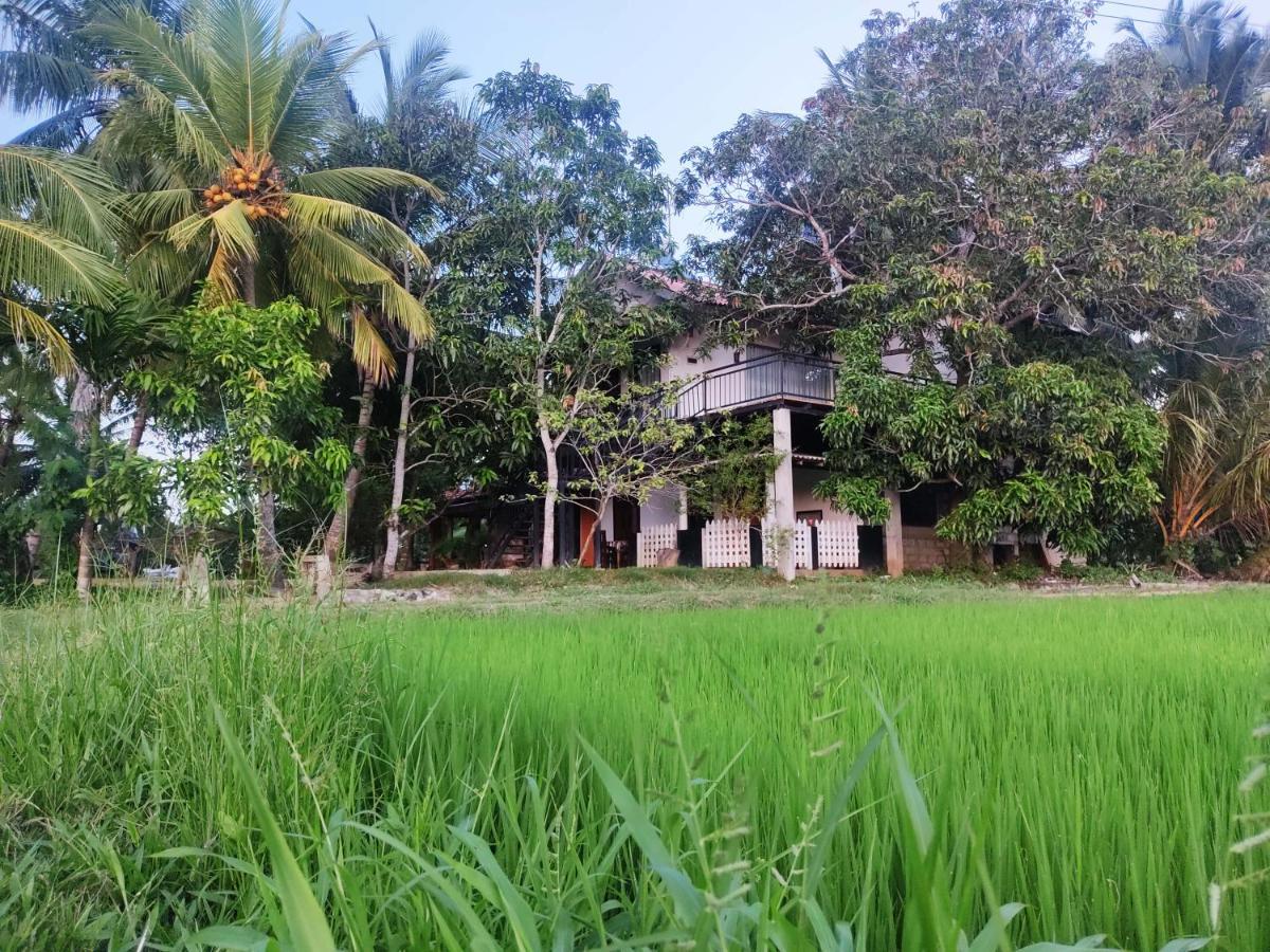 Village Mango Resort Yala Tissamaharama Eksteriør bilde