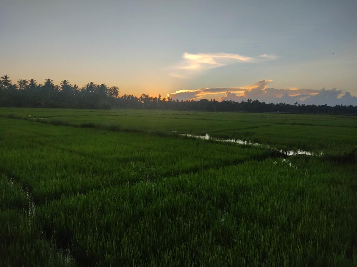 Village Mango Resort Yala Tissamaharama Eksteriør bilde