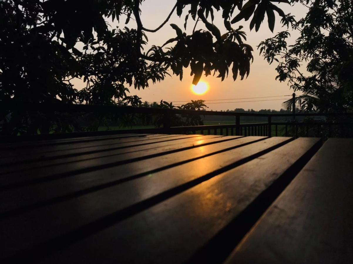 Village Mango Resort Yala Tissamaharama Eksteriør bilde