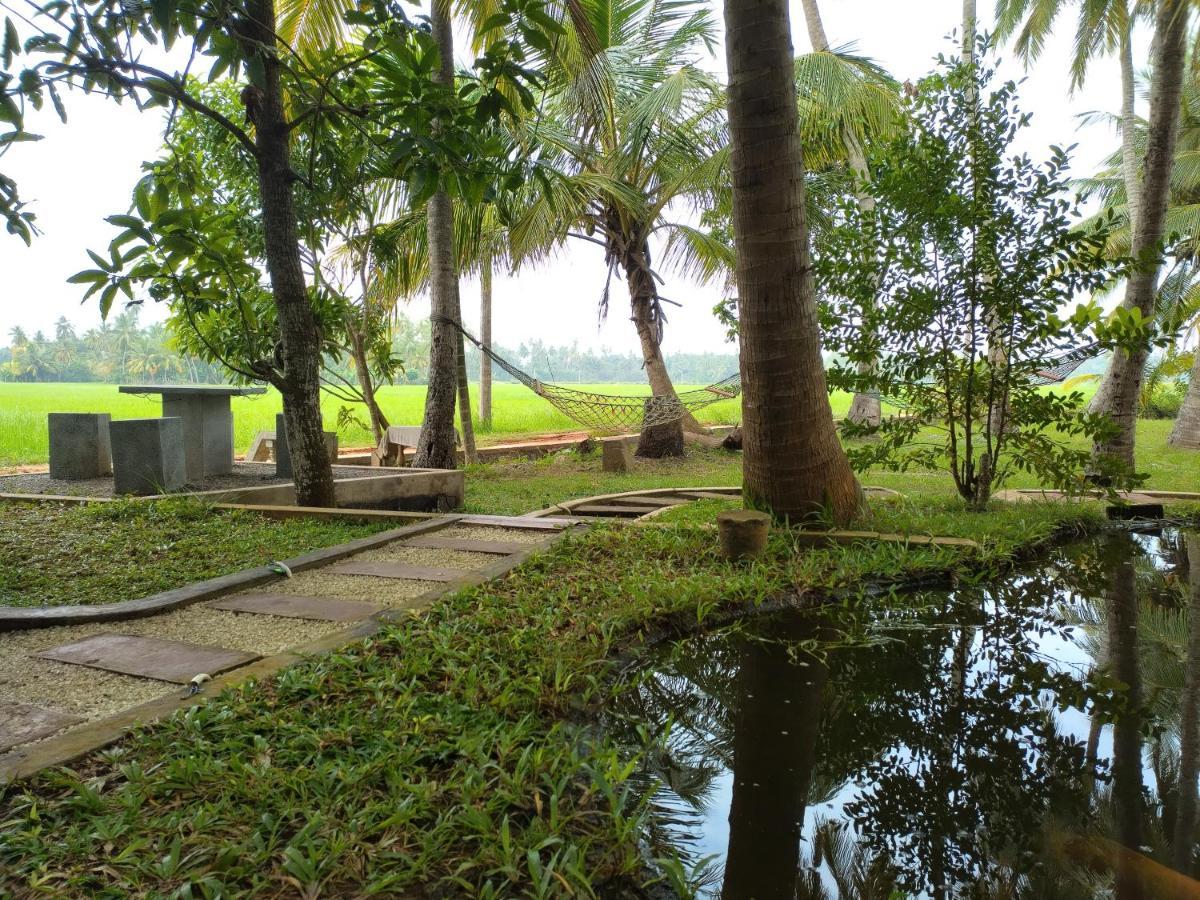 Village Mango Resort Yala Tissamaharama Eksteriør bilde
