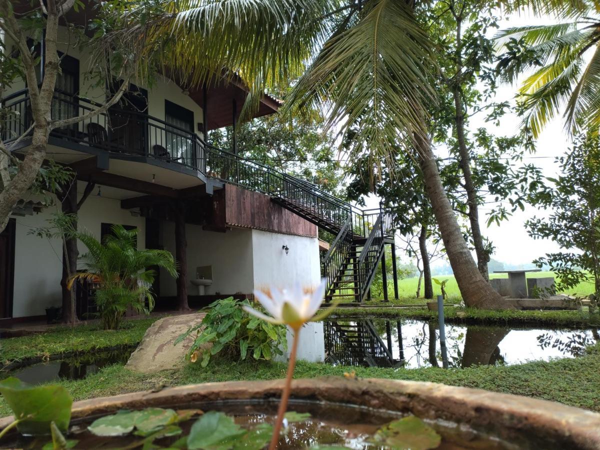 Village Mango Resort Yala Tissamaharama Eksteriør bilde