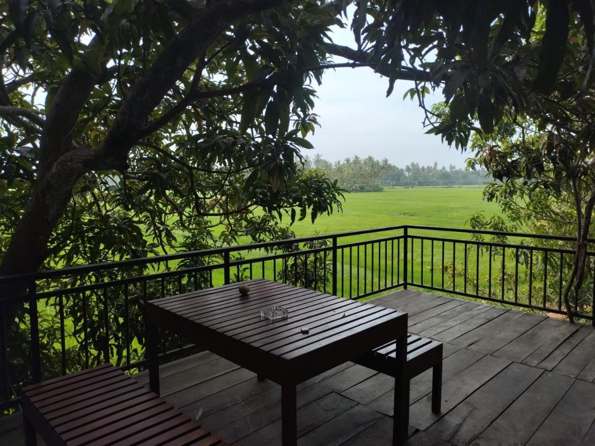 Village Mango Resort Yala Tissamaharama Eksteriør bilde